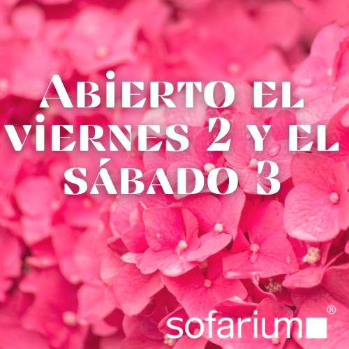 abierto 2 y 3 de mayo 2025
