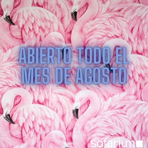 abrimos en agosto
