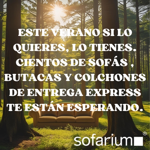 sofas con entrega express