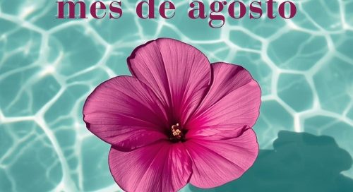 abierto en verano